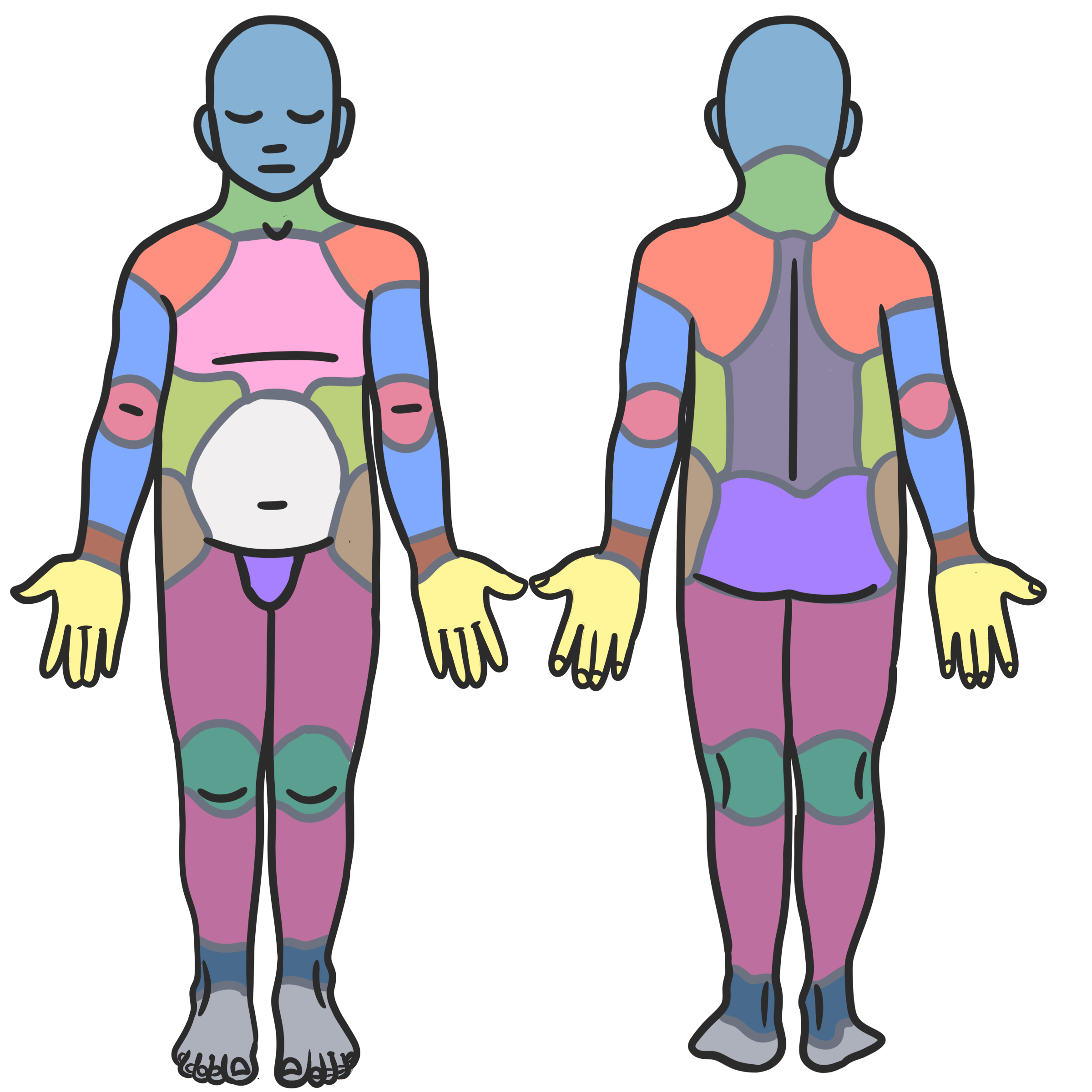 Front and back outlines of a body, eyes closed chest indicated by a line, no hair. Areas separated with lines and color coded as follows. Light blue head, light green neck, light orange shoulders, pink chest, blue arms, light red elbows, brown wrists, light yellow hands, light yellow green sides, white tummy, gray back, light brown hips, light purple butt and genital area, light maroon legs, light deep green knees, light navy blue ankles, and light gray feet.